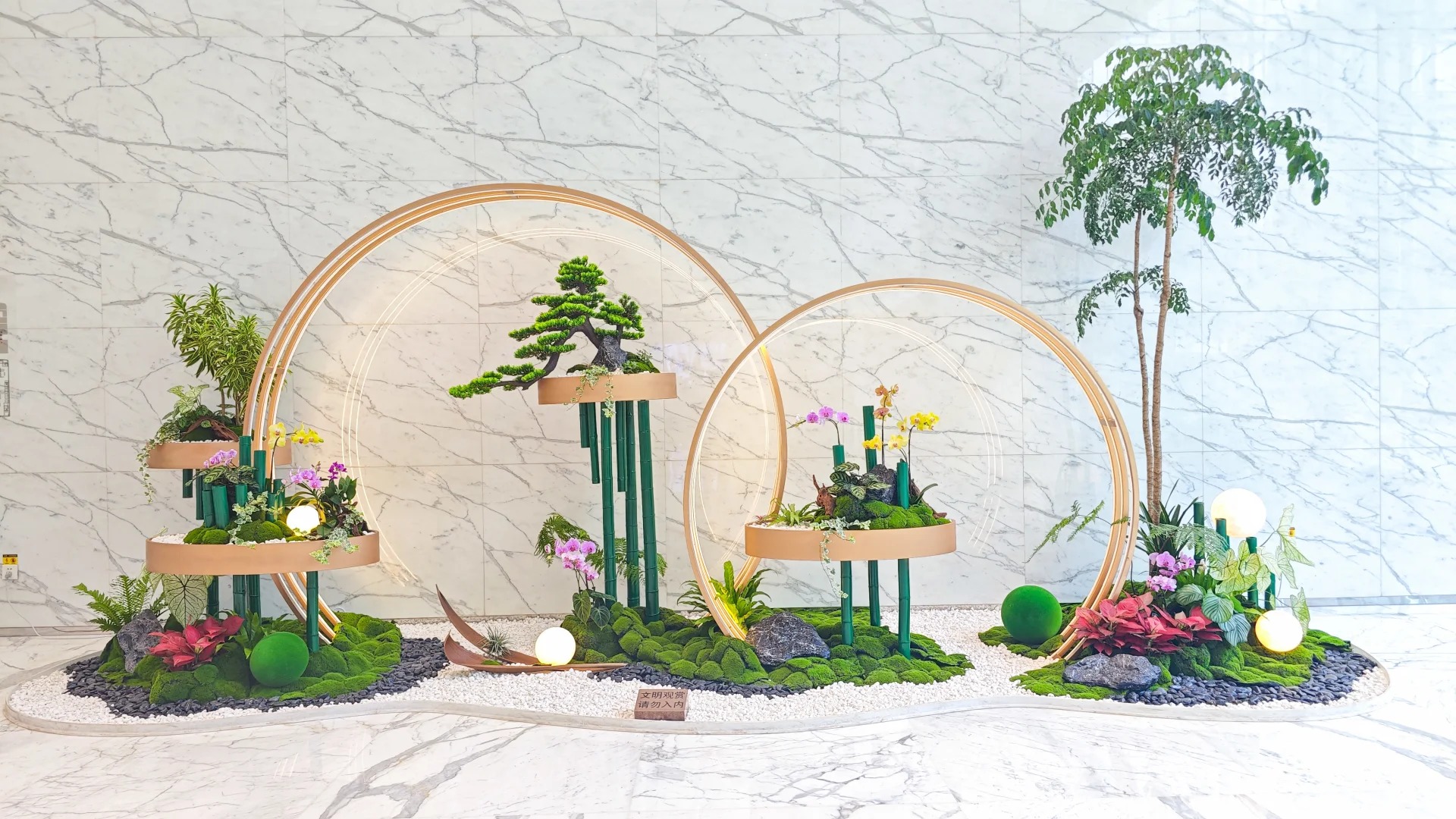 余姚盆景出租,享受便捷的绿植租赁服务