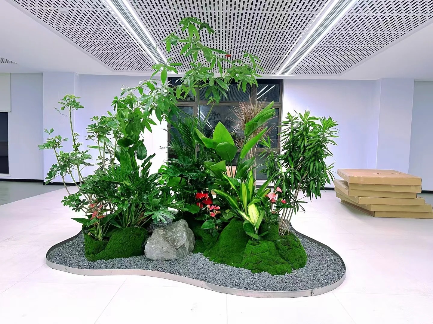 余姚盆景出租,享受便捷的绿植租赁服务